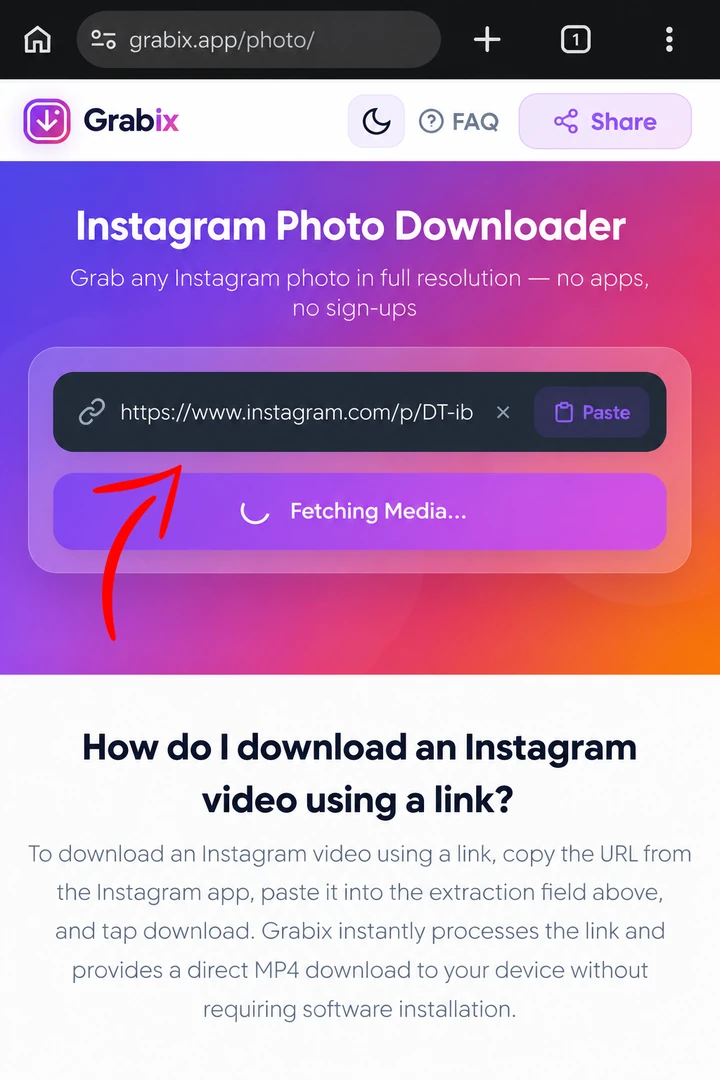 Step 2: Paste link into Grabix carousel downloader
