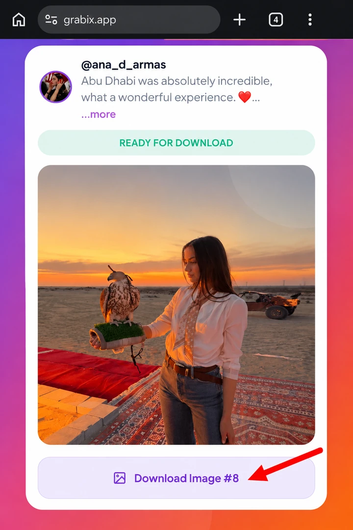 Step 3: Download carousel media file